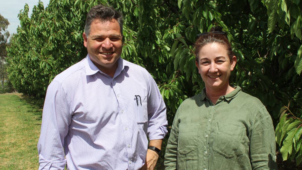 BATTLE: Phil Donato with local cherry grower, Fiona Hall. As a result of travel restrictions and border closures local growers have struggled to get seasonal workers.