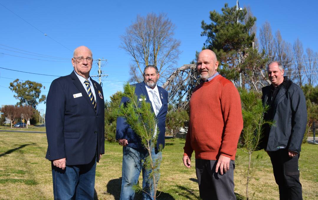 RSL welcomes plan to replace historic Lone Pine, (from left) Orange RSL sub-branch president Chris Colvin, branch vice president Brad Bliss, Mayor Jason Hamling and Oranger City Council City Presentation Manager, Nigel Hobden.