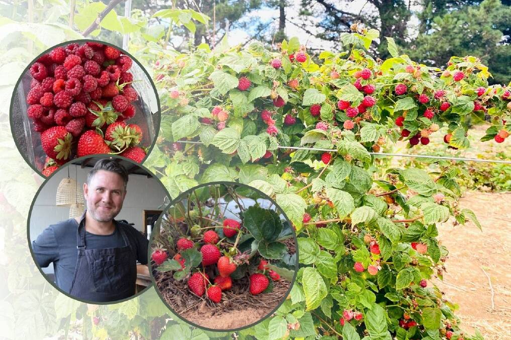 BERRY NICE: Richard Learmonth says berries are at their best at this time of year, making for some great Christmas inspired desserts in December. Photos: CONTRIBUTED
