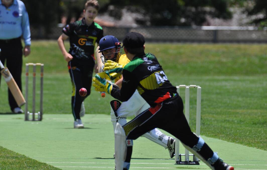 GALLERY: Day one of the under 13s Western NSW Junior Cricket Carnival