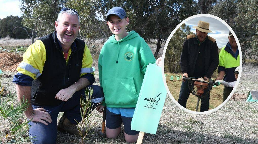 DIGGING DEEP: Jeff and Harrison King during Sunday's tree planting at the Lake Canobolas Reserve, and (insert) mayor Reg Kidd gets into the swing of things. Main photo: CARLA FREEDMAN