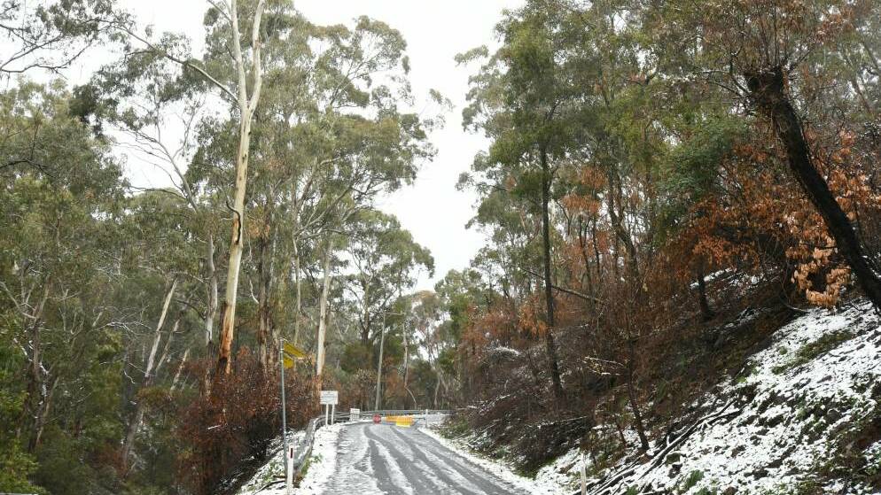 SNOW GO: There's reports of snow on Mount Canobolas on Friday afternoon. Photo: FILE
