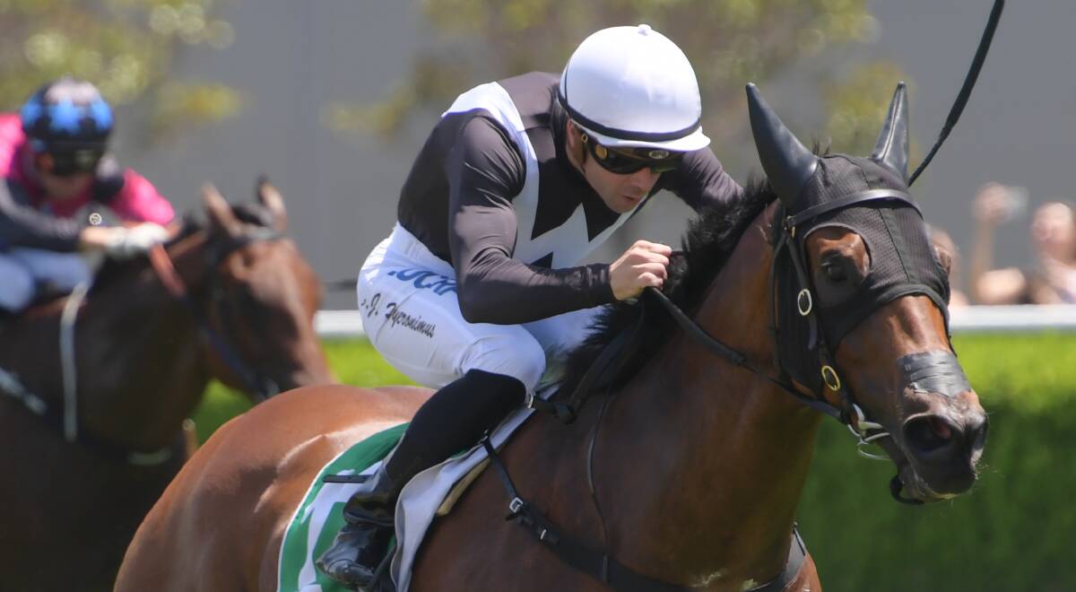 NOT A CHANCE: Gayna Williams' I Am A Cool Kid won't be nominated for the Mudgee country championship qualifier. Photo: AAP