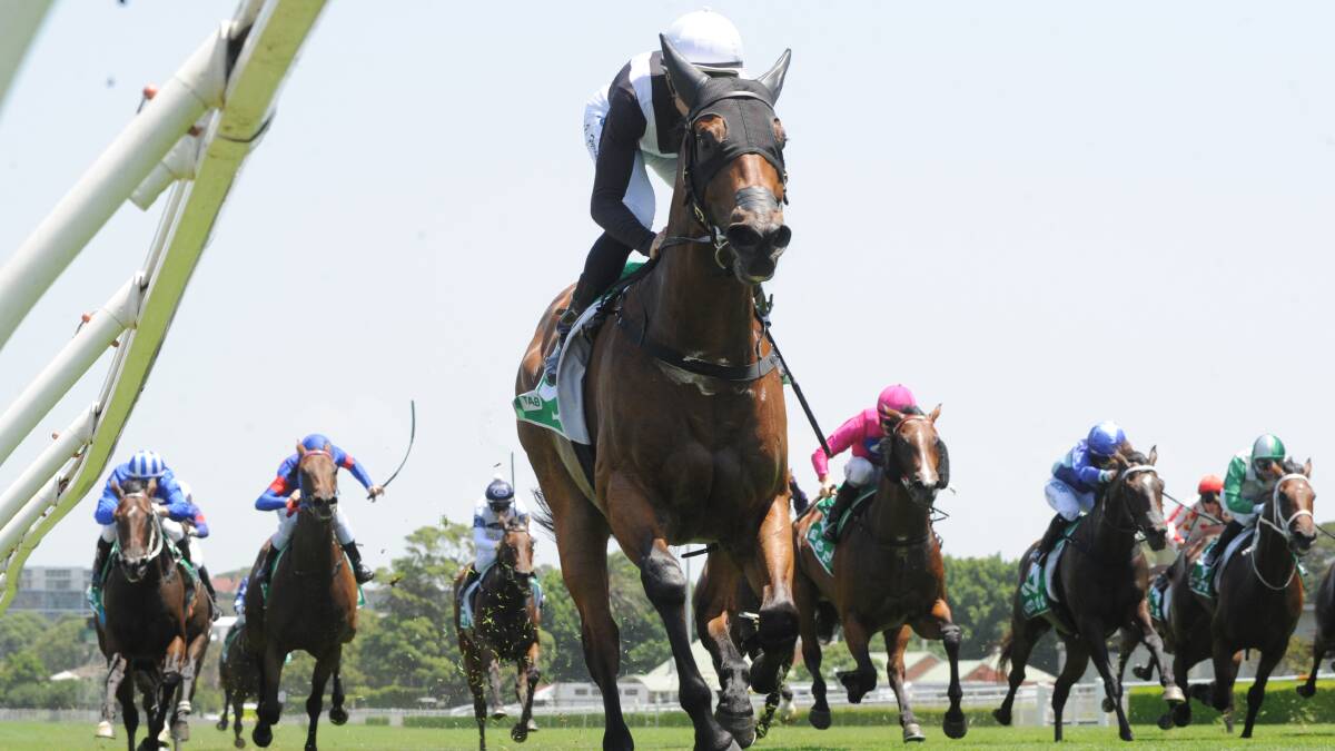 OUT IN FRONT: I Am A Cool Kid cruises out in front during Saturday's TAB Highway Handicap victory at Royal Randwick. Photo: AAP