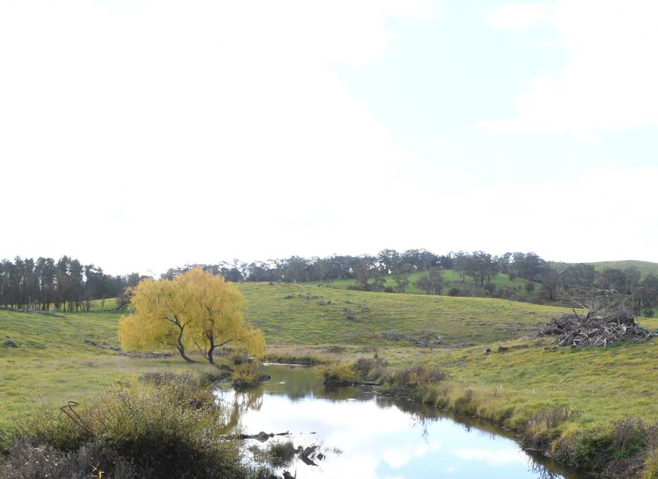FLOWING AND BLUE SKIES: Summer Hill Creek is a picture at the moment. Photo: JUDE KEOGH