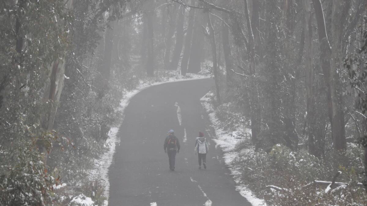 SNOW: Walkers enjoy the snow at Mount Canobolas in August, 2020. The region is expected to again see some snow this week. Photo: NICK McGRATH