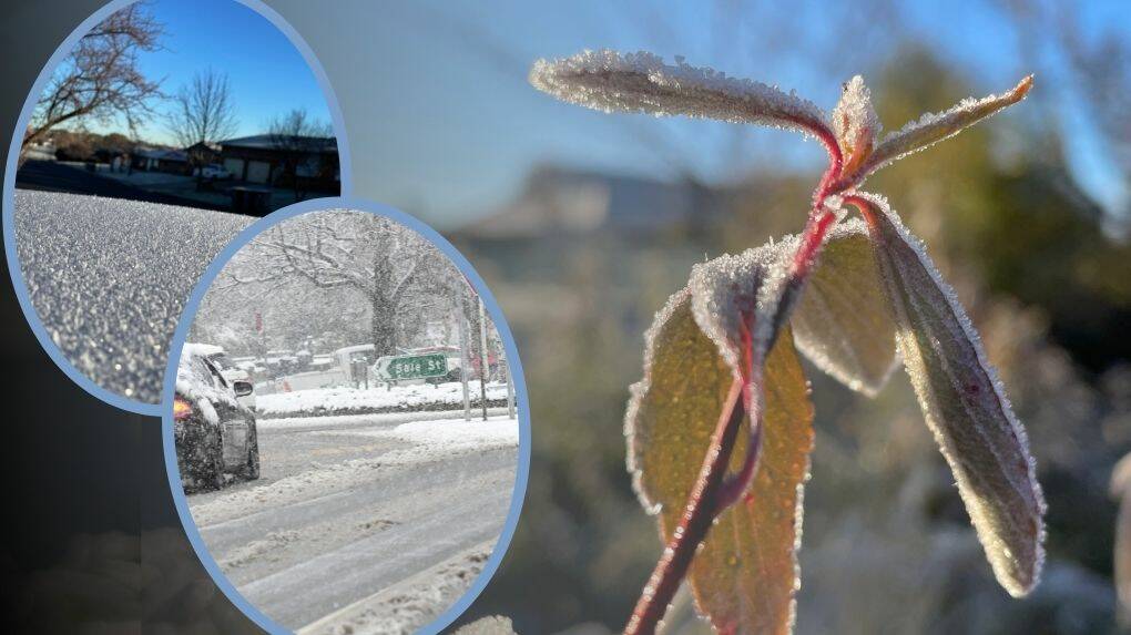 FROST START: Orange froze through its coldest morning of the year on Thursday, which was only just shy of the record for July. Photos: NICK McGRATH