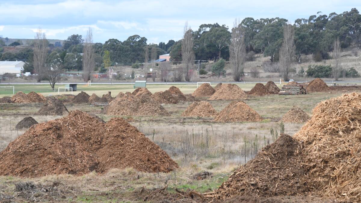 Work has ramped up at the sporting precinct site at Bloomfield. Photo: CARLA FREEDMAN
