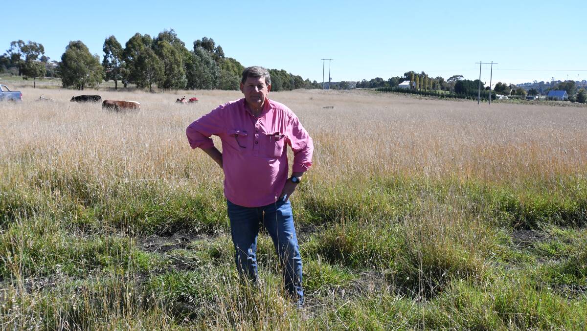 HERE'S THE GO: Reg Kidd at the site of the proposed arboretum's in the city's north. Photo: CARLA FREEDMAN