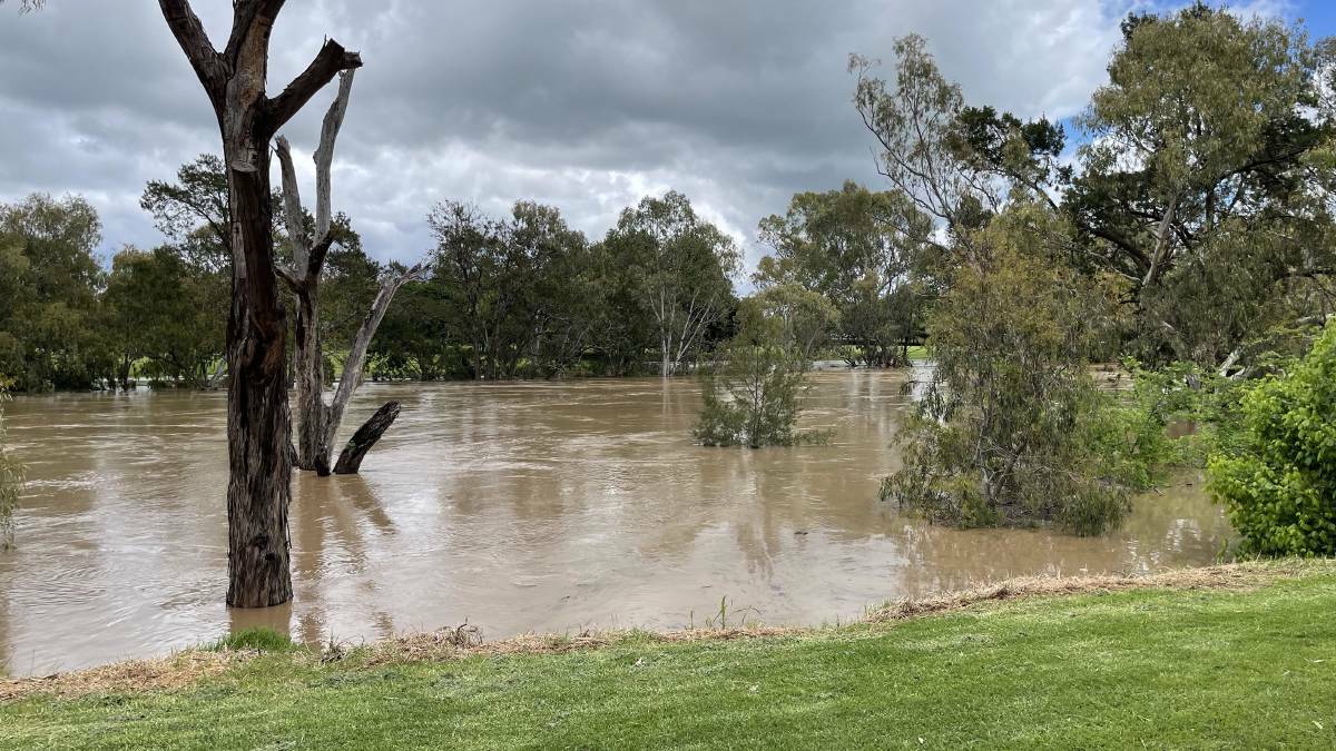 Flooding along the Lachlan River on November 1, 2022.
