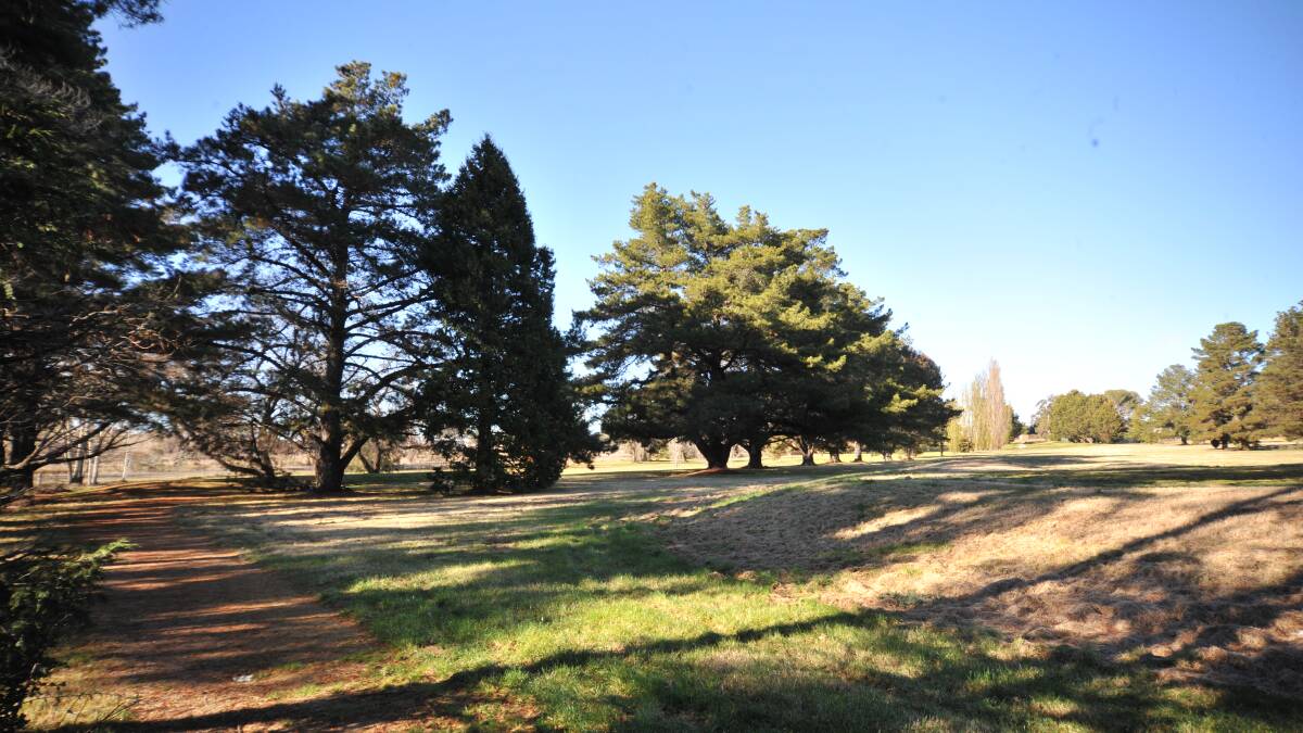The northern end of the old Country Club golf course, where the council's proposed sport precinct will be located. Photo: CARLA FREEDMAN