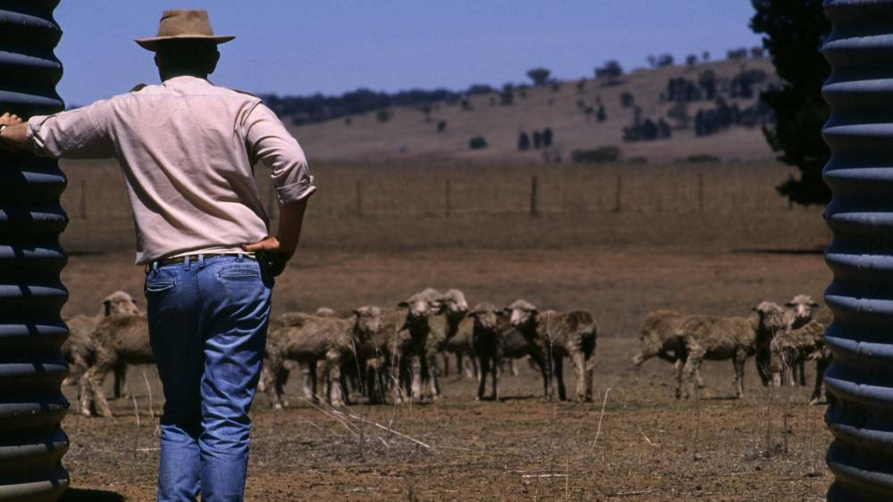 HARD TIMES: Forty-four per cent of farmers surveyed in NSW expect conditions in the agricultural economy to deteriorate in the coming 12 months. Photo: Shutterstock.