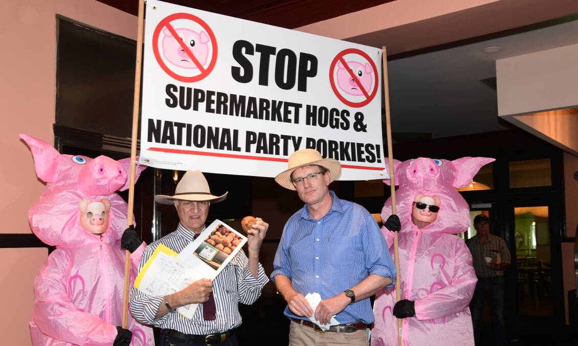 Bob Kattar and Andrew Gee and their pig friends in Orange on Tuesday. Picture by Carla Freedman
