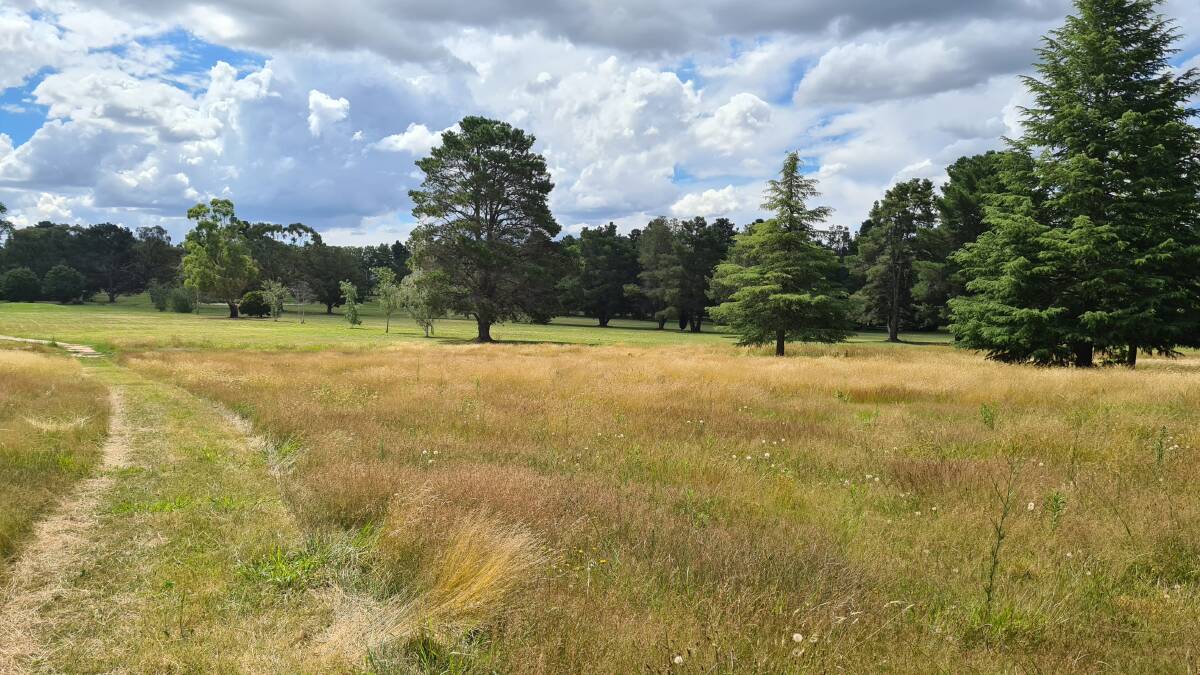 VACANT SITE: The old Bloomfield golf course is being slated for the new sporting precinct, but a parkland is a better option, according to Kate Muthuswamy.