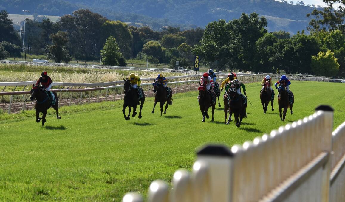 Not Negotiating (far left) lead the field home int he $75,000 Mudgee Cup. Photo: JAY-ANNA MOBBS