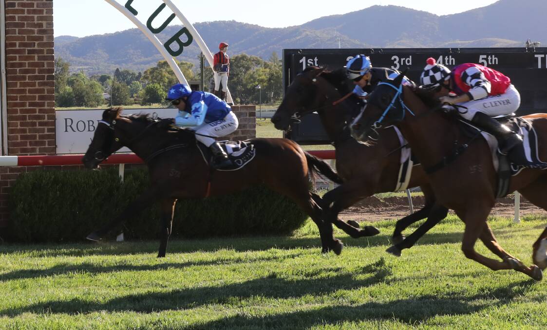 HOME AND HOSED: Our Dasha, with Greg Ryan on board, saluted in the Mudgee Cup Day Sprint on Friday, edging Cameron Crockett's Nictock. Photo: SIMONE KURTZ