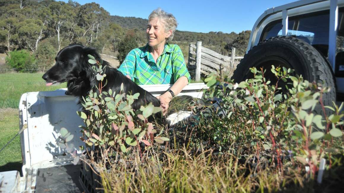 BACK TO NATURE: Cilla Kinross, and Domino, says what we need is a bold transition to a steady state economy with a focus on quality of life, rather than quantity of possessions. Photo: JUDE KEOGH