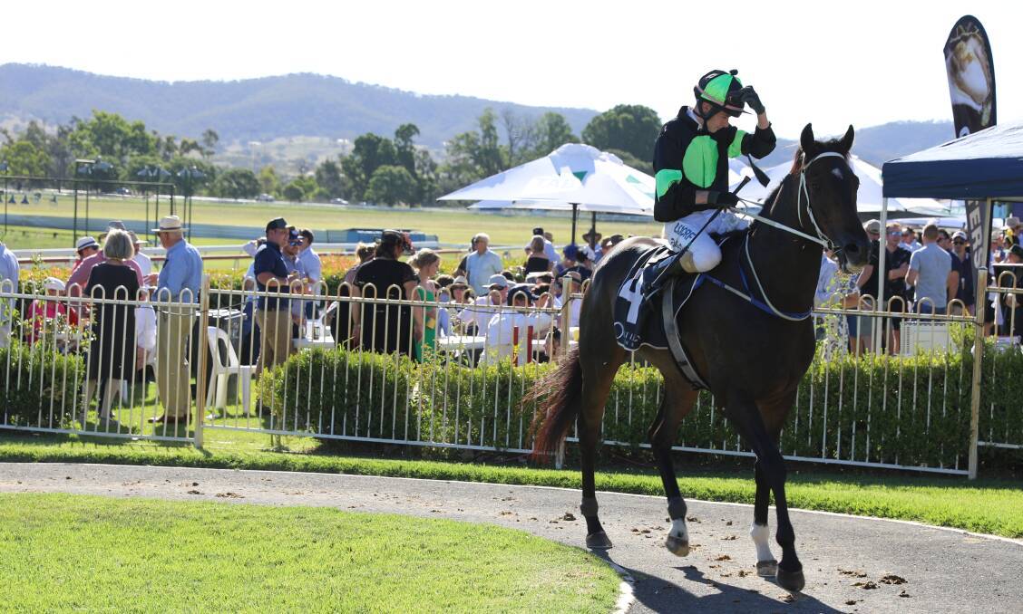 WINNING RUN: Tahsin returns to the parading area after winning the Mudgee Cup on Friday in front of a record crowd. Photo: SIMONE KURTZ