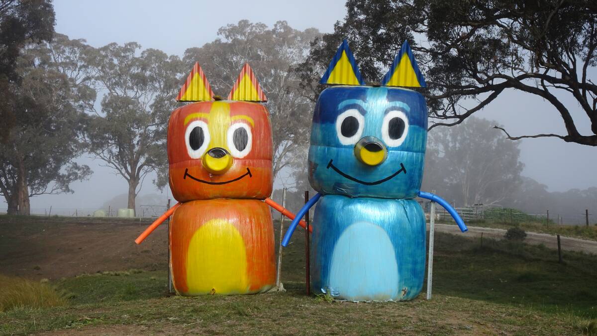 Bingo and Bluey were big hits among the travelling hay bale onlookers throughout 2020