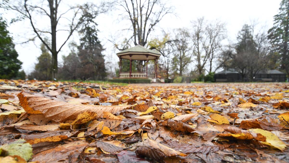 It's been a wet and cold week at Orange's Cook Park. Photo: CARLA FREEDMAN