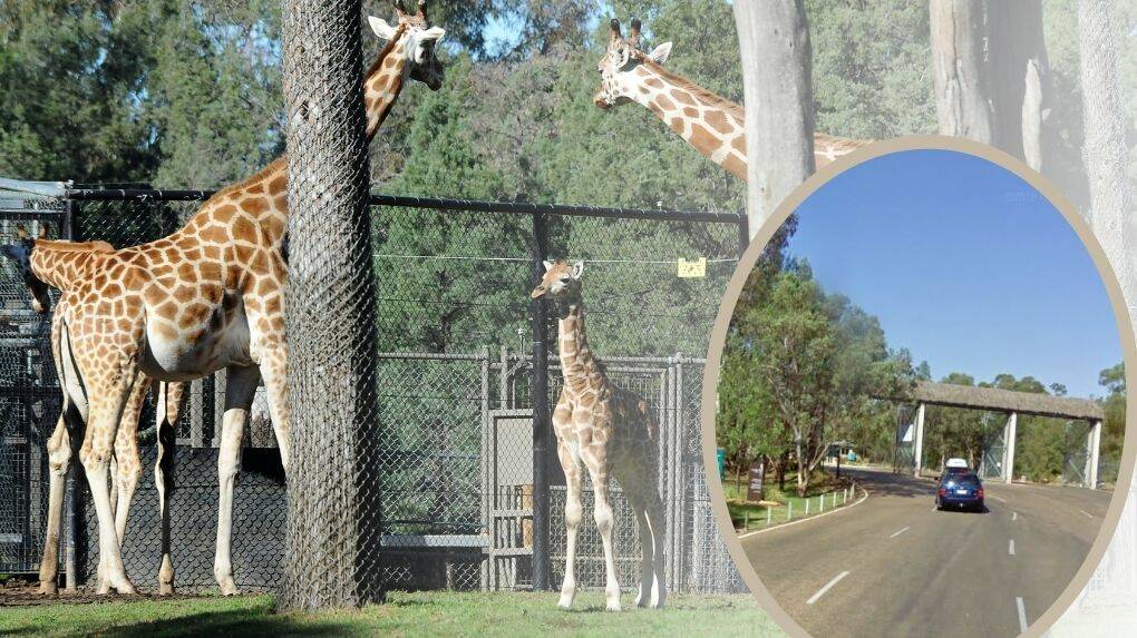 The entry to Taronga Western Plains Zoo. Photo: Google Maps.