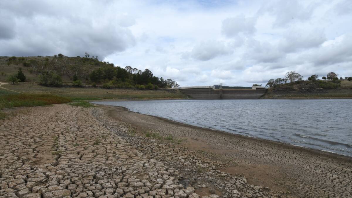 HOW LOW CAN YOU GO: Suma Park dam is floating around the 20 per cent mark. Photo: JUDE KEOGH