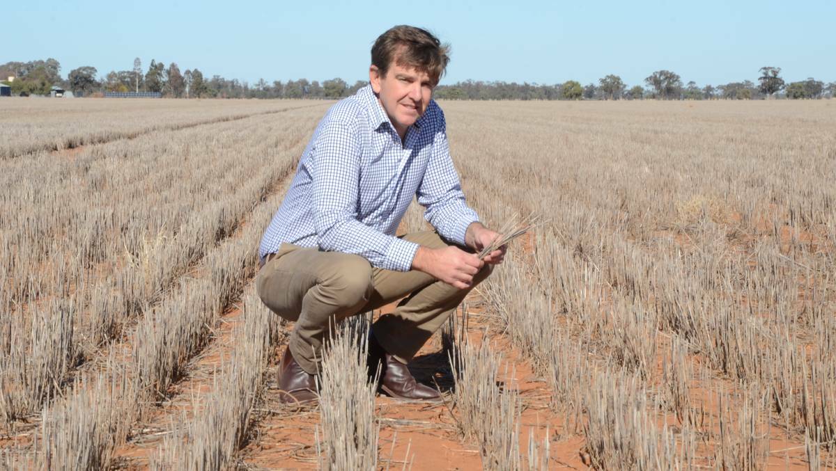 NSW Farmers Narromine and Trangie branch chair James Hamilton has been helping other landholders with succession planning.