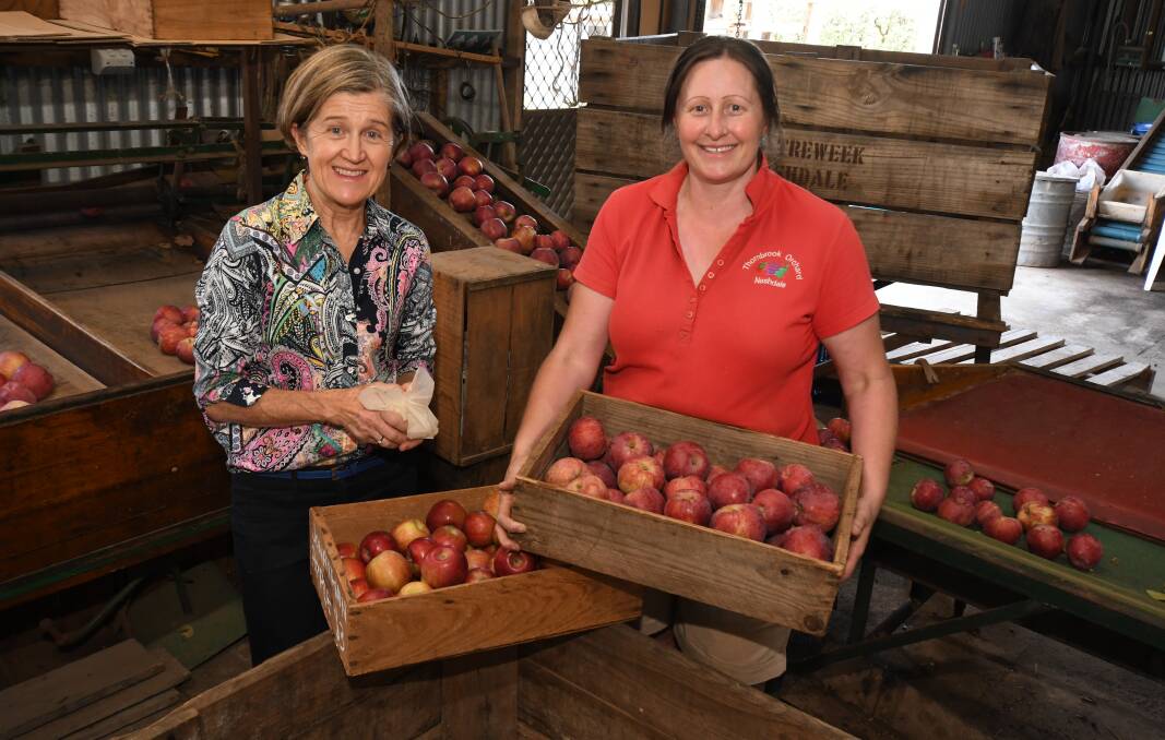 APPLE SEASON: Apple Committee event organiser Jane Arnott and Paula Charnock from Thornbrook Orchard, which will be part of the Apple Ramble. Photo: JUDE KEOGH