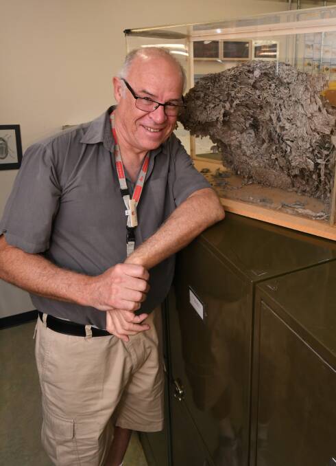 WASP EXPERT: Department of Primary Industries collections curator and wasp expert Peter Gillespie will give a talk at a workshop on Saturday. Photo: JUDE KEOGH