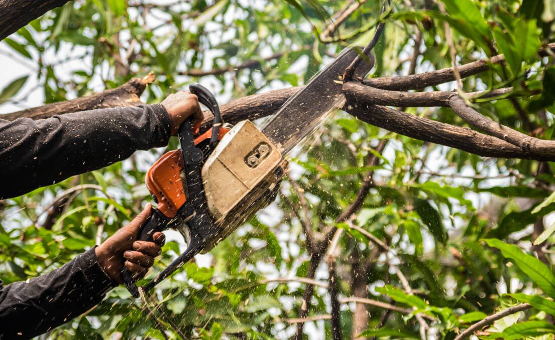 DEPOT: A man was found in possession of four chainsaws amid a hoard of stolen items. File photo: SHUTTERSTOCK