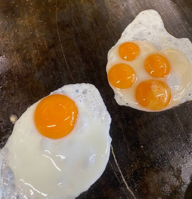 The four-yolk egg next to a regular egg at Birdie Noshery on Saturday morning. P