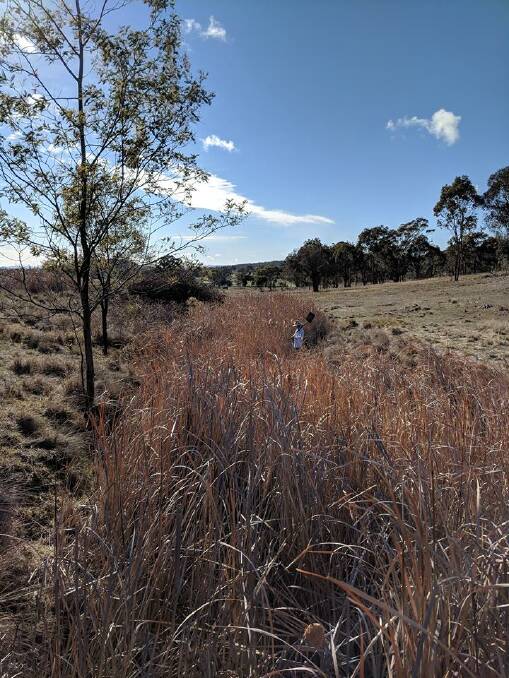 A landholder is clearing a soak so drought affected neighbours can access the spring water.