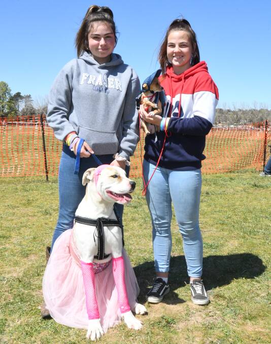 GIRLS' BEST FRIENDS: Bobby Berryman and Emily Ayling with Lexi and Muffie, which were dressed up for the event. Photo: CARLA FREEDMAN