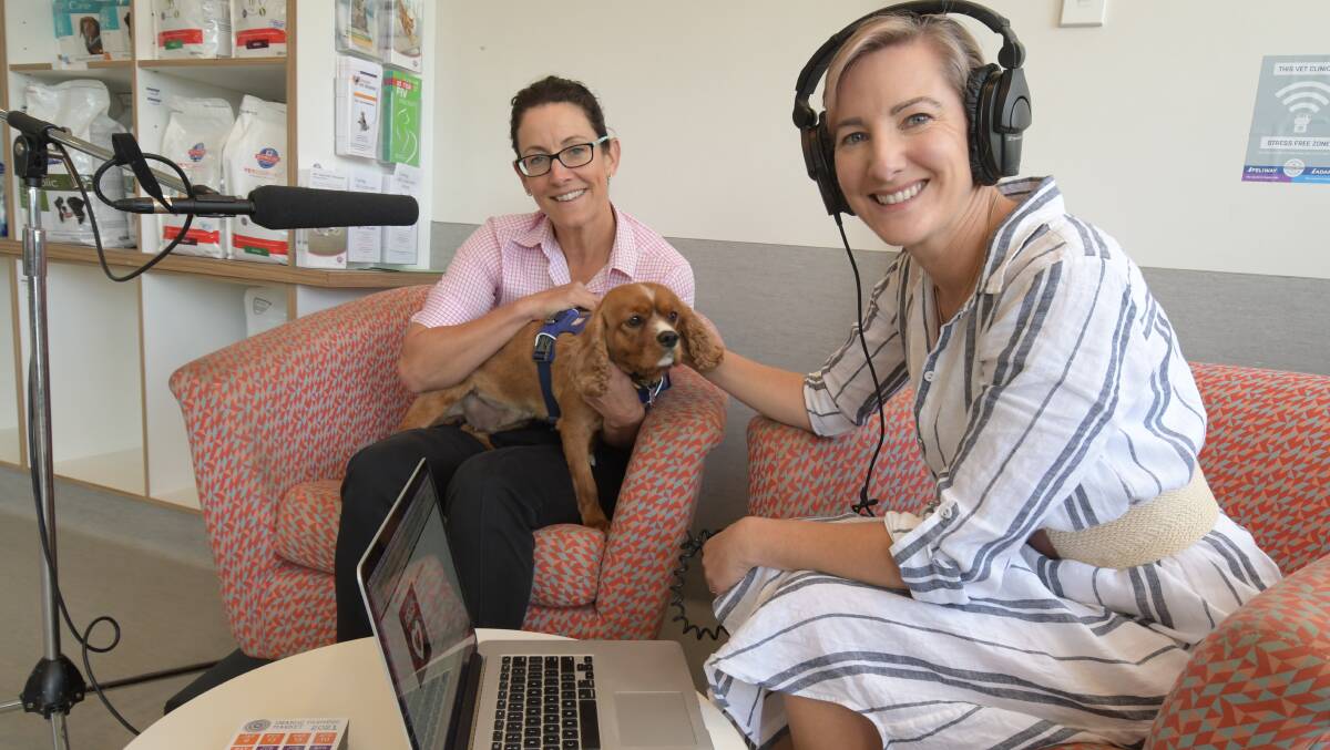 PET CARE TIPS: Kim Dale from Orange Vet Hospital with Poppy and Holly Manning is running a pet podcast.