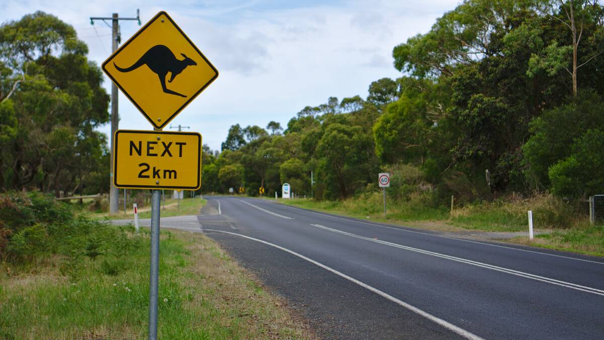 A file picture of a kangaroo warning sign. Picture courtesy Shutterstock