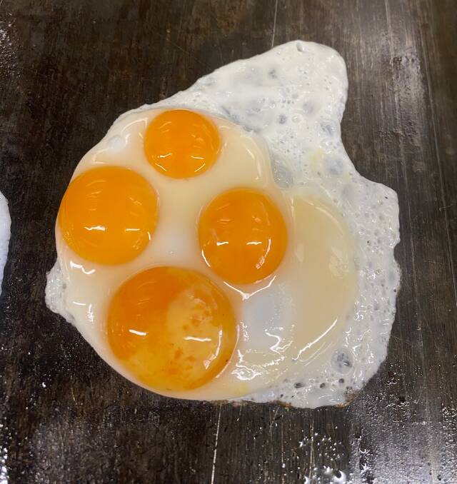 One egg with four yolks found at Birdie Noshery and Drinking Establishment on Saunday. Picture supplied