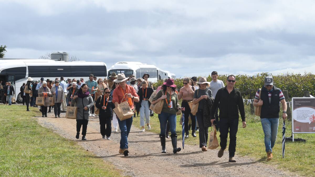 REUSABLE OR BIODIGRADABLE: Participants at FOOD Week's Forage event this year were given bags of sustainable items and the only plastic was drink bottle people brought with them. Photo: CARLA FREEDMAN