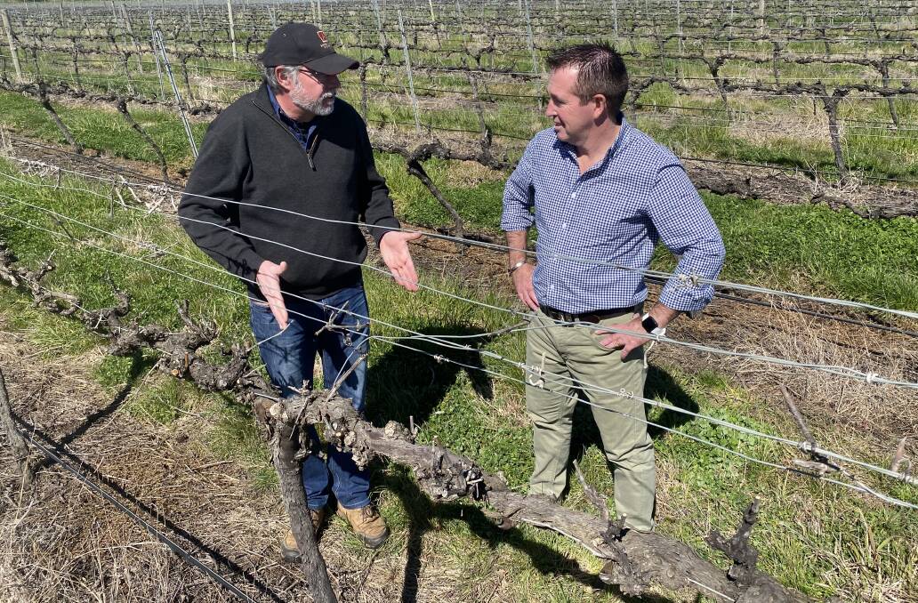 SMART FARMING: Angullong Vineyard owner Ben Crossing showing Paul Toole MP, how the introduction of new technologies will provide an opportunity to more
carefully monitor and manage resources. Photo: SUPPLIED