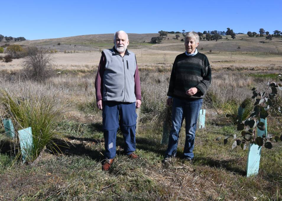 RECOVERY: Graham Sawyer and Dr Cilla Kinross are encouraging people to join them at a tree planting and open day. Photo: CARLA FREEDMAN