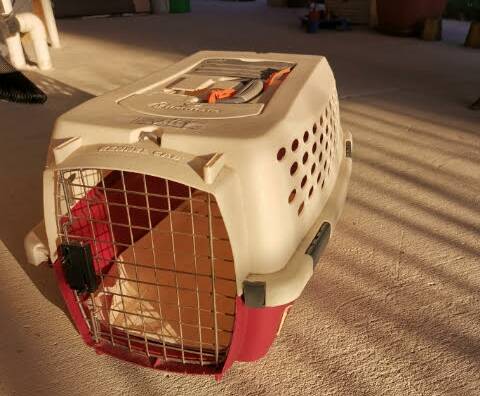 ANIMAL CRUELTY: A man has been convicted of keeping his pet cats in small carriers for days on end restricting their movement and not giving them adequate water. FILE PHOTO