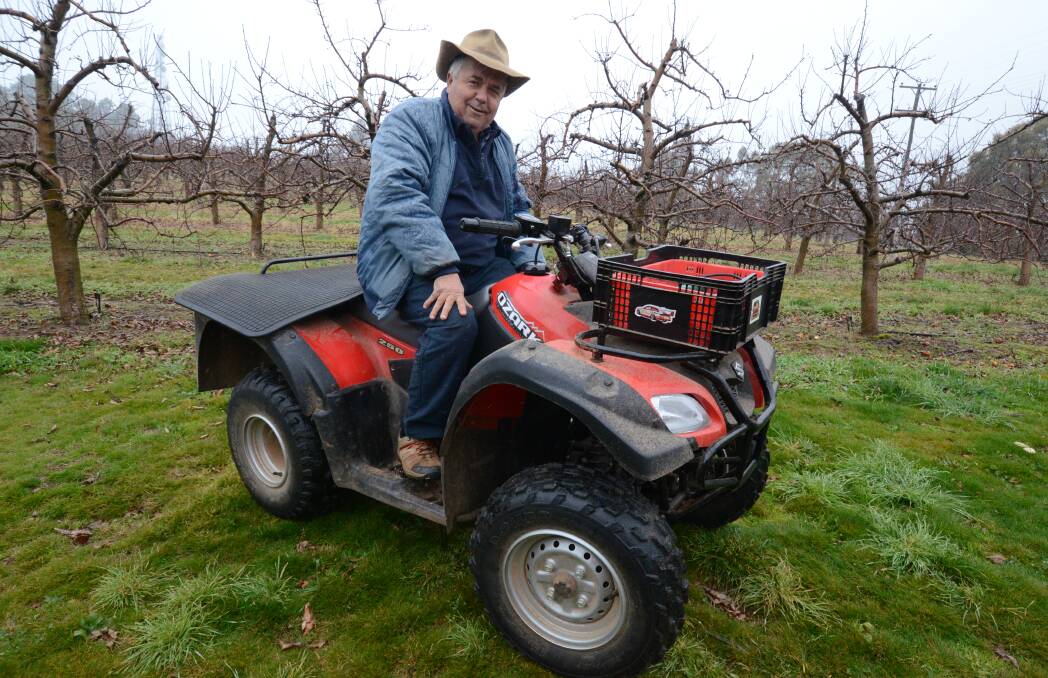 SAFETY CHANGES: Orchardist Guy Gaeta has been riding quad bikes for more than 30 years and said people need to actively ride them, not just sit. Photo: JUDE KEOGH