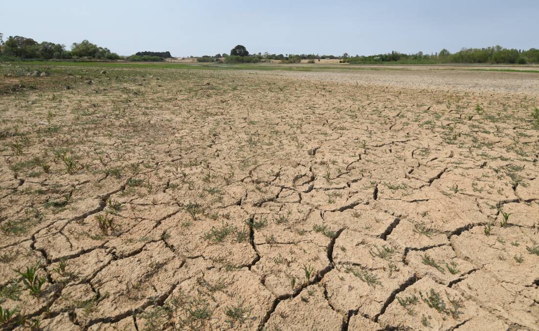 NO END TO DROUGHT: It's dry out at Spring Creek Dam. Photo: CARLA FREEDMAN