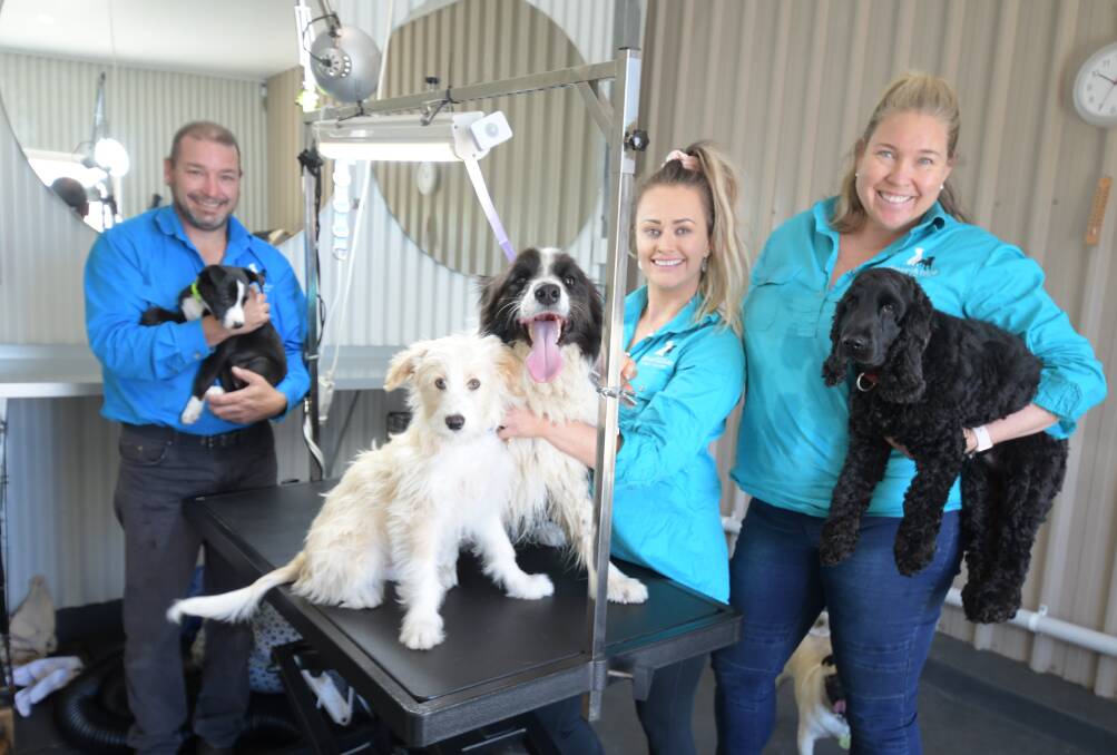 CONGRATULATIONS:Rob Afford with Roxy, Frankie, Shadow, Lareina O'Neil and Danielle Haase with Atticus at Diesel and Blue Doggie Day Care. Photo: CARLA FREEDMAN