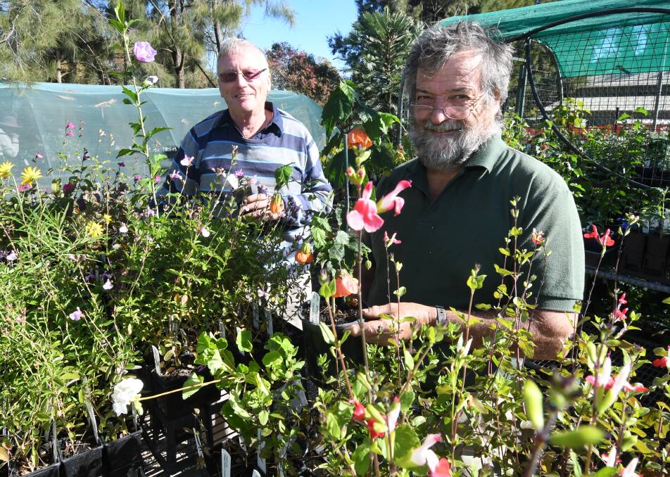 BLOOMS ON SALE: Friends of the Botanic Garden propagation volunteers Pat Mullins and Chris Mills. Photo: JUDE KEOGH