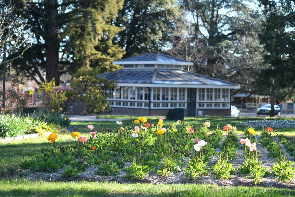 SPRING: The Blowes Conservatory in September 2018, was built in 1934. Photo: CARLA FREEDMAN
