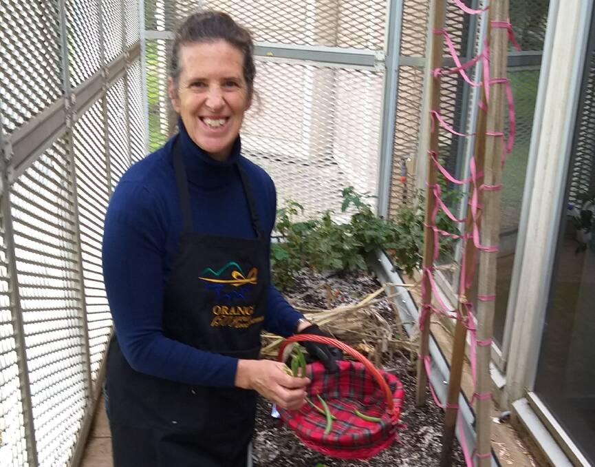 ACTIVE HOLIDAYS: Fiona Hawke replanting the library's community garden, as part of a gardening activity she has filmed for online viewing during the school holidays.