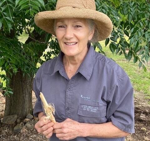 GRANT FOR GROWTH: Hemp producer Janet Price of Toogong has received an AgriFutures Rural Women's Acceleration Grant. Photo: SUPPLIED