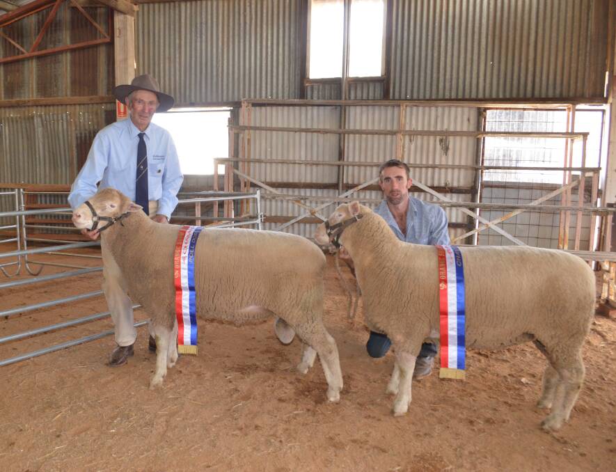 WINNERS: Ken Williams and Neil Williams from Ashburnia Poll Dorset Stud with their champion ram and ewe. 