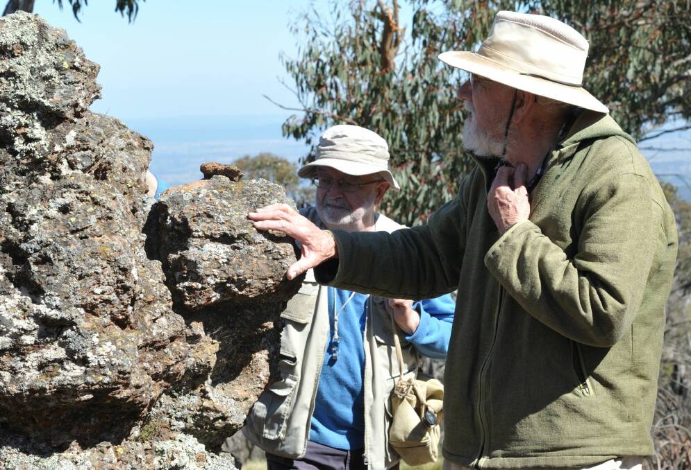 LIKING FOR LICHEN: Dr Patrick McCarthy and Professor Jack Elix examining some of the more than 100 lichen species occurring on Mount Canobolas. Photo: SUPPLIED