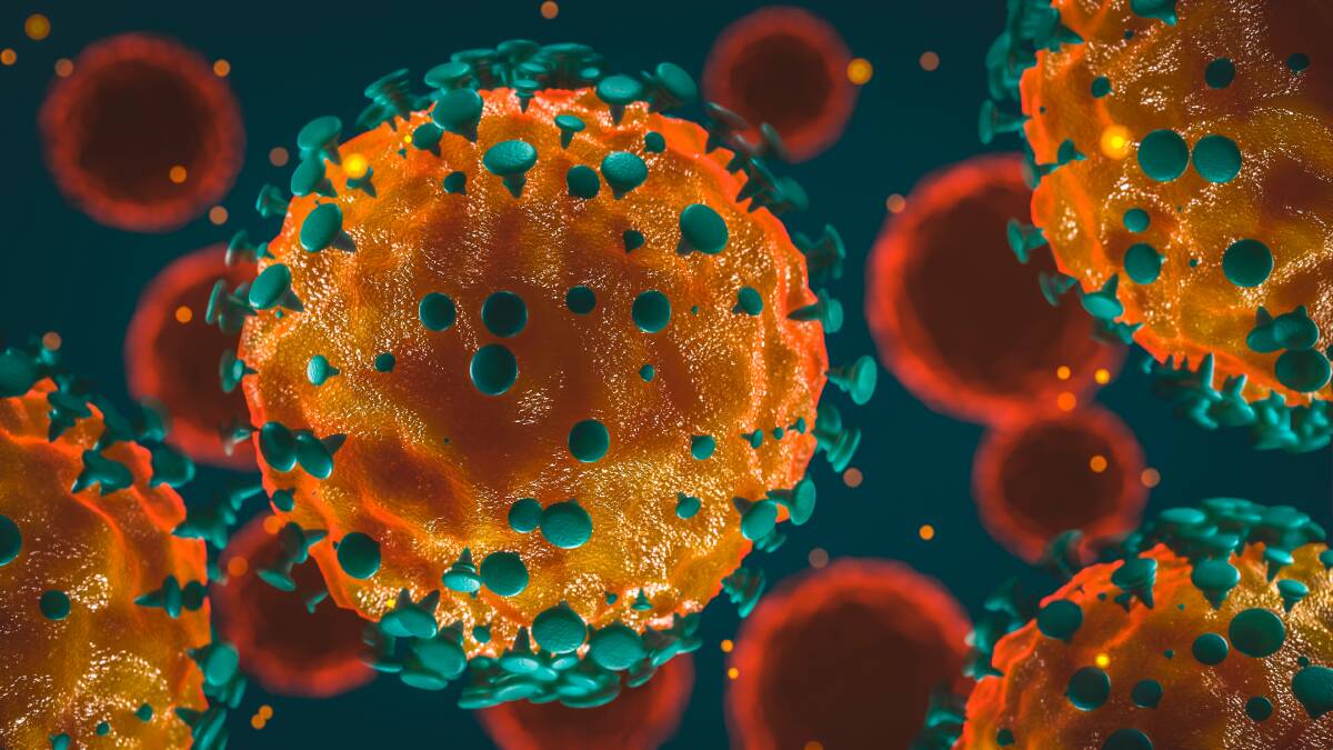 UPDATE: No new cases of coronavirus have been reported in Orange on Wednesday. File photo: SHUTTERSTOCK